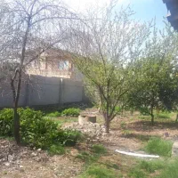 خانه-باغ-650-متری