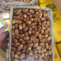 زاهدی درجه یک و دو