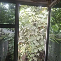 اجاره روزانه/هفتگی/ماهانه ویلا سوییت ۱۳۰متری دربست|اجارهٔ کوتاهمدت ویلا و باغ|چوبر, |دیوار