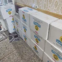 بادام هندی 240|خوردنی و آشامیدنی|اهواز, شریعتی جنوبی|دیوار