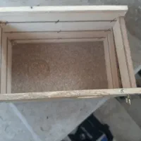 لونه مناسب تخم گزاری پرنده