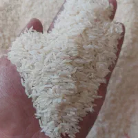 برنج هاشمی درجه یک دره رود