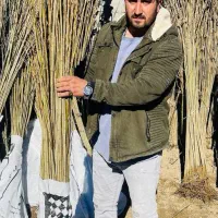 نهالستان فراز نهال /انواع نهال پیوندی /گردو انگور|گل و گیاه طبیعی|نوشهر, |دیوار