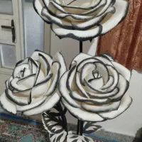 گل کنارسالنی