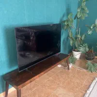 ال ای دی ۵۵ اینچ زلموند