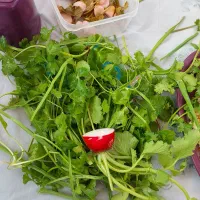 انواع سبزی خوردنی و خورشتی