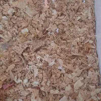 نان خشک|حیوانات مزرعه|فردوس (خراسان), |دیوار