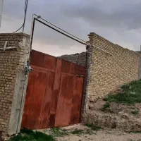 دامداری و گاودادی