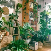 آپارتمان-3-خواب-واحد-جلو-فوق-العاده-شیک