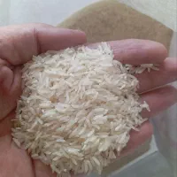 برنج خوش پخت و خوش عطر