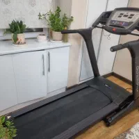 تردمیل این شیپ