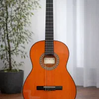 گیتار کلاسیک / انتخابی عالی برای شروع نوازندگی