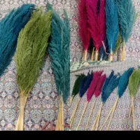 گل شاخه ای ۱۵