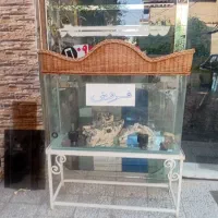 اکواریوم