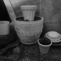 حراج گلدان ها فروش رفت فقط سه چهارتا موجوده