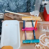 وسایل پرنده و قفس و طوطی
