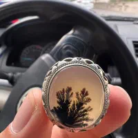 شجر کلکسیونی