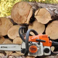 خریدار انواع چوب برش و خرید|خدمات باغبانی و درختکاری|شیراز, قصرالدشت|دیوار