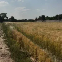 زمین ۴ هزار متری وهن آباد