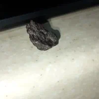 شهاب سنگ حدودا ۱۰ گرم