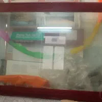 اکواریوم سالم