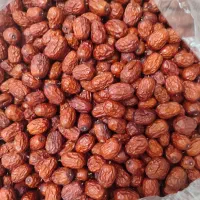 فروش عناب تازه و امسالی نرم. نرم بدون کرم زدگی|خوردنی و آشامیدنی|خمینی‌شهر, |دیوار