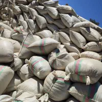 فروش جاشیر سبز کوهی