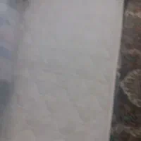 دوعددتشک فنری