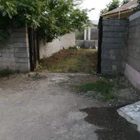 دارای سندتک برگ، پروانه ساخت، ستون، کورسی خورده