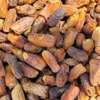 خرمای پیارم و ضایعات پیارم|حراج|داراب, |دیوار