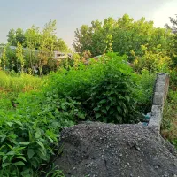 زمین-217-متری-پروانه-دار-مسکونی