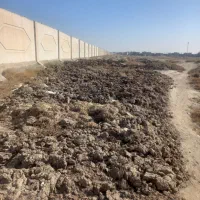 بار گاو|خدمات باغبانی و درختکاری|نیشابور, شهرک رضوی|دیوار