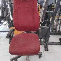 صندلی مدیریت گردان وقفسه باشگاهی ودوچرخه ثابت