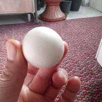 یک عدد سنگ الماس اسیاب|جواهرات|بومهن, |دیوار