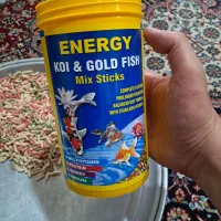 غذای ماهی کوی
