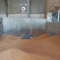 نیروی تولید