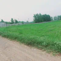 زمین ۱۰۹۳متری فخب شهید نوروزی|فروش زمین و ملک کلنگی|رشت, فخب|دیوار