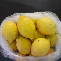 فروش لیمو ترش