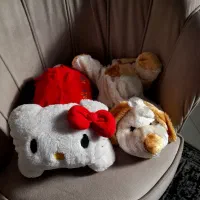 تعدادی اسباب بازی|اسباببازی بچه|تهران, سلسبیل شمالی|دیوار