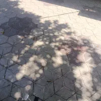 مسافر