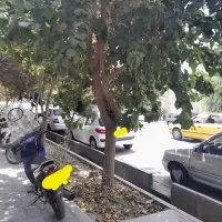 اجاره مغازه ۲۳ متری در قم نو|اجارهٔ مغازه و غرفه|قم, قم نو|دیوار