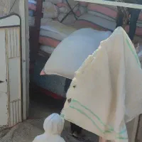 کاه|عمدهفروشی|زابل, |دیوار