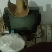 تلوزیون سونی ژاپن