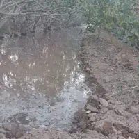 باغ پسته صد قصب  با اب روستای مبارکه