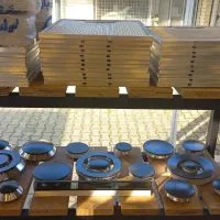 قطعات هود و گاز|خدمات پیشه و مهارت|رشت, سعدی (تختی)|دیوار