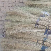جارو شور|لوازم نظافت|کوهنانی, |دیوار