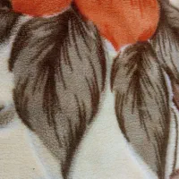 پتو مخملی قهوه ای|رختخواب، بالش، پتو|اهواز, زیتون کارگری|دیوار