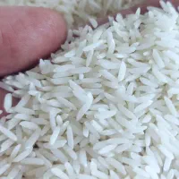 برنج هاشمی