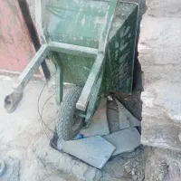 فرغون در حد نوع