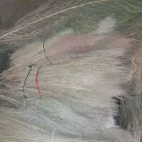 جارو|لوازم نظافت|خوی, |دیوار